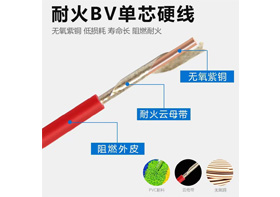 ZCN-BV 型號(hào)：0.75mm&sup2;&sup2;～240mm&sup2;&sup2;