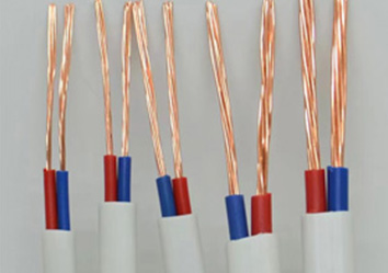 ZC-BVVB（2類 ）型號：2芯（0.5mm&sup2;&sup2;～16mm&sup2;&sup2;）